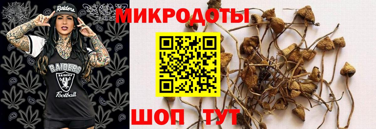 Светлоград  Галлюциногенные грибы Magic Shrooms  Галлюциногенные грибы прущие грибы  Вход с VPN 